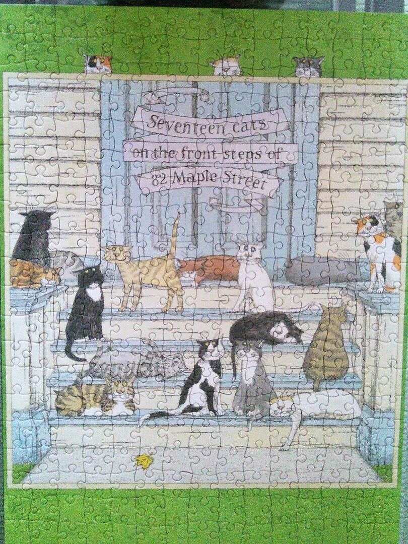 Schöne Katzen