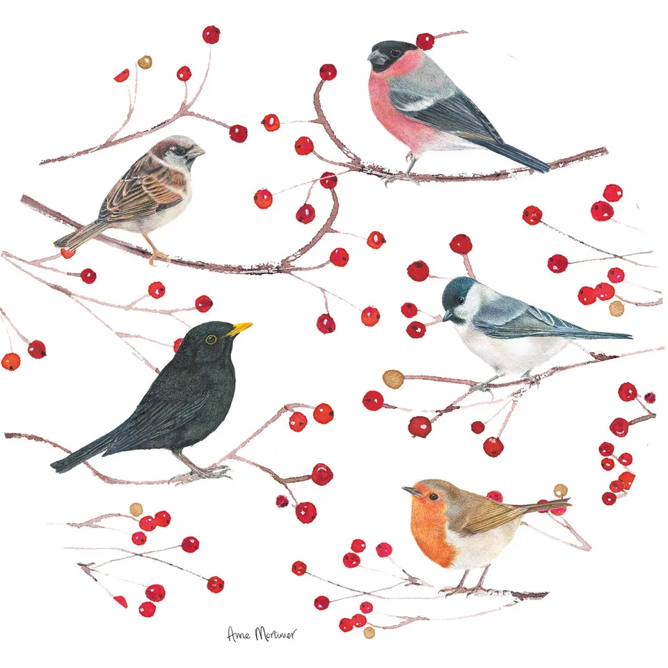 otter-house-birds-branches-weihnachtskarten-10er-pack image 1