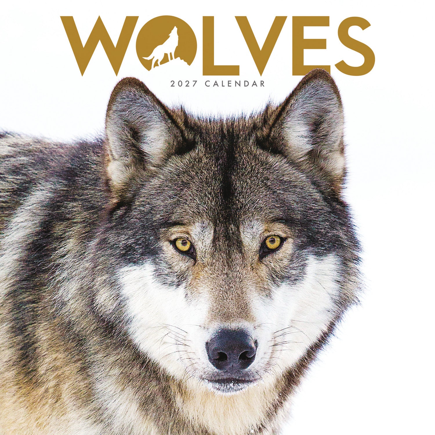 otter-house-wolves-mini-wandkalender-2027-w-lfe image 1