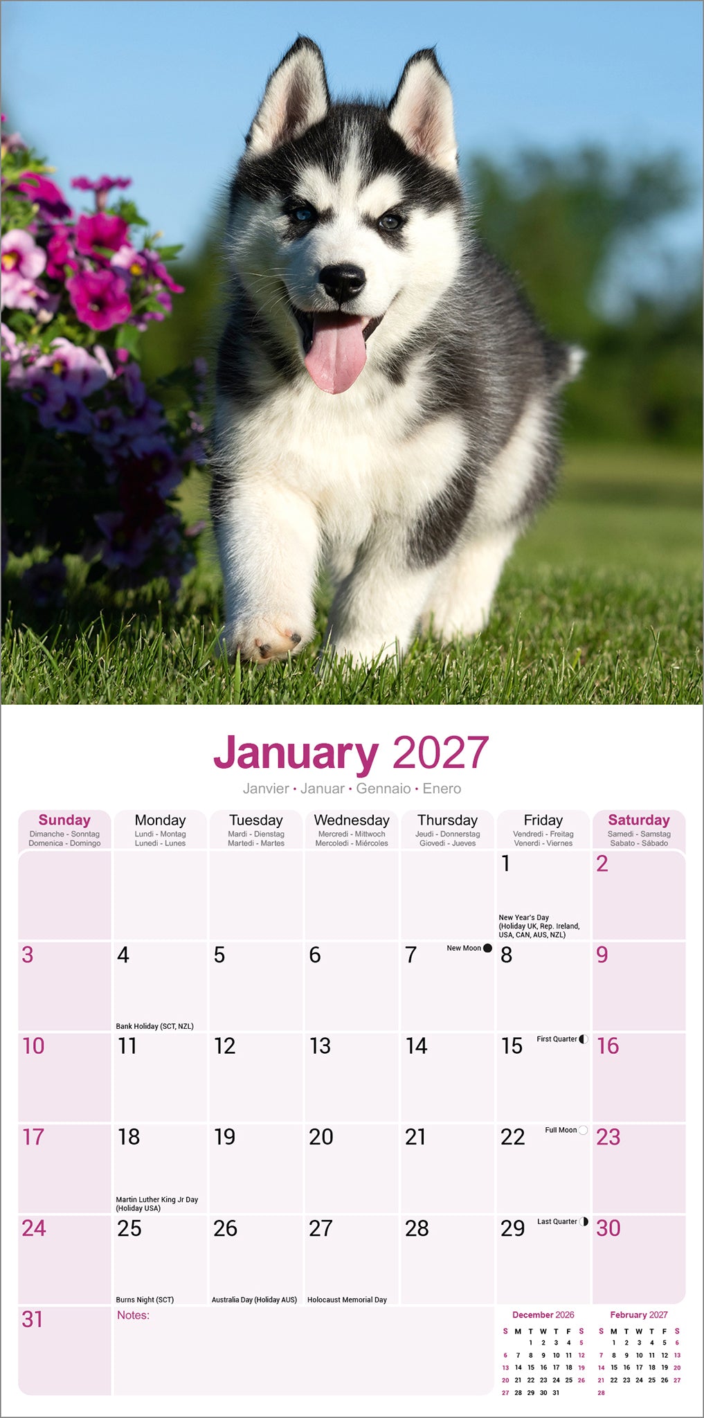 otter-house-siberian-husky-wandkalender-2027-hunde image 3