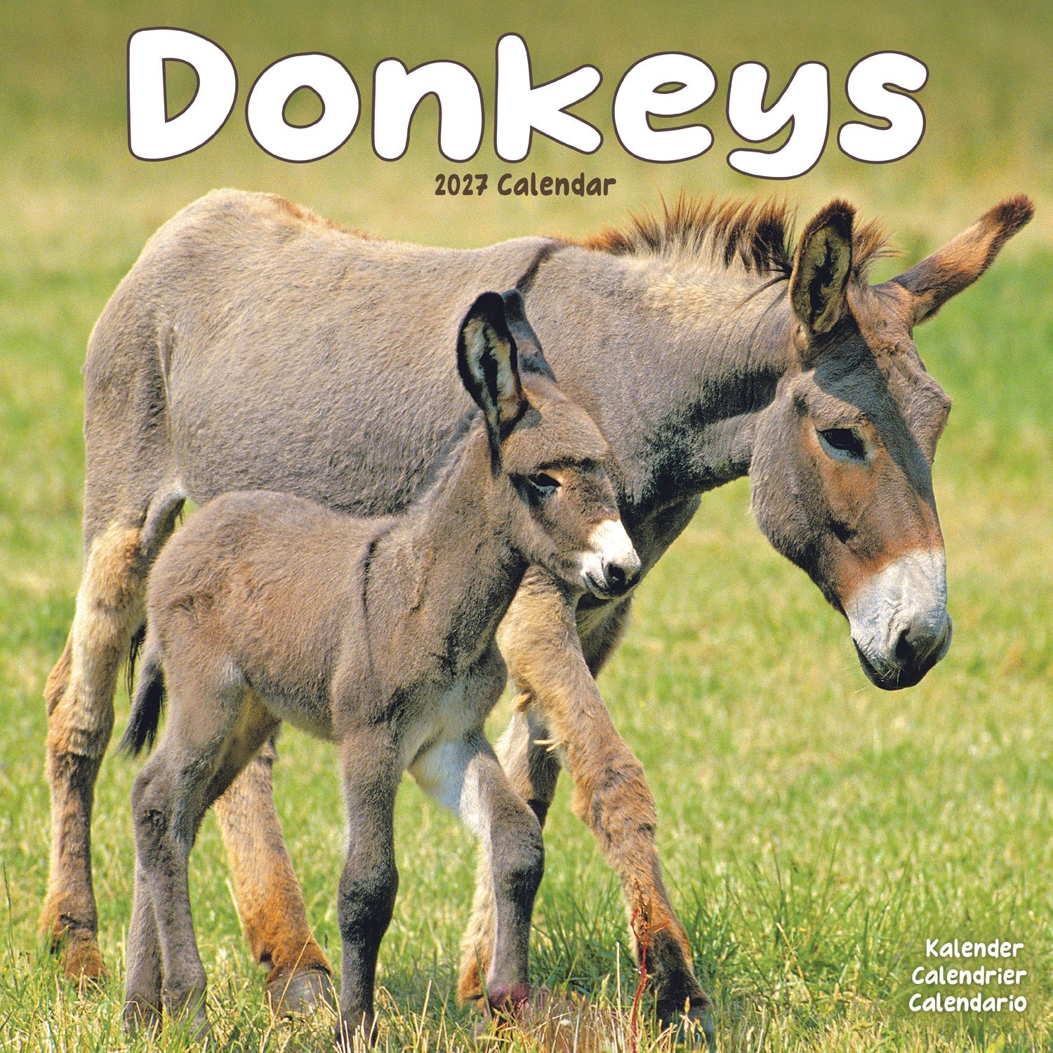 otter-house-donkeys-wandkalender-2027-esel image 1