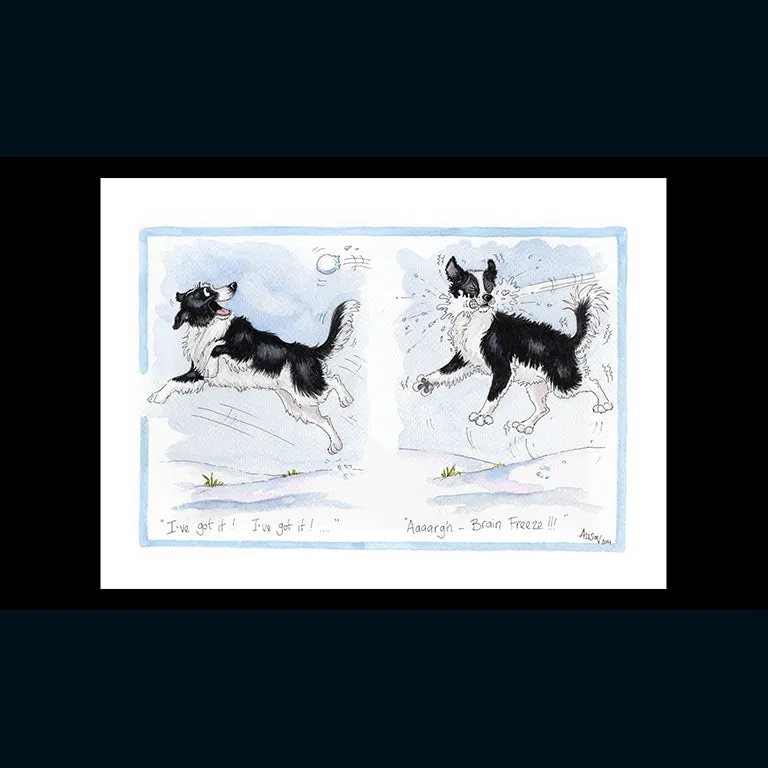 otter-house-brain-freeze-weihnachtskarte-collie-hund-schnee image 1