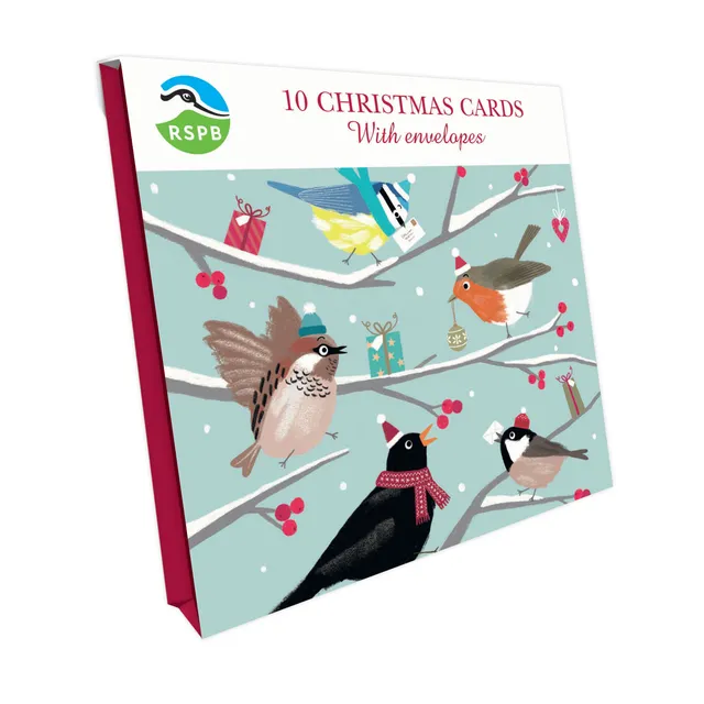 otter-house-cheery-festive-birds-weihnachtskarten-10er-pack-rspb image 1