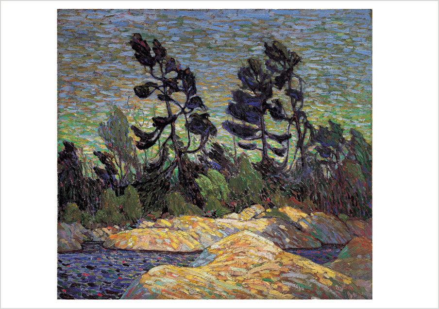 pomegranate-tom-thomson-klappkarten-box-20-st-ck-wildnis image 3