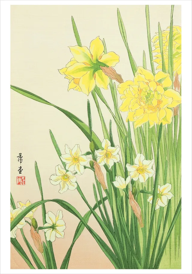 pomegranate-narcissus-geburtstagskarte-nishimura-hodo image 1