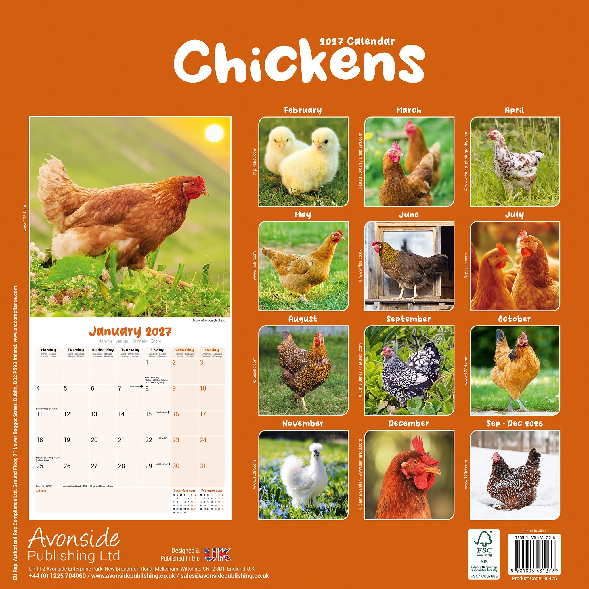 otter-house-chickens-wandkalender-2027-h-hner image 2