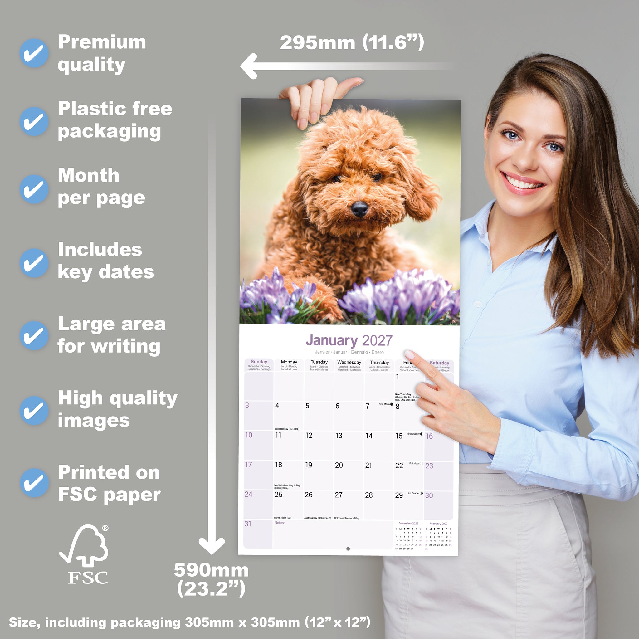 otter-house-poodles-wandkalender-2027-pudel image 4
