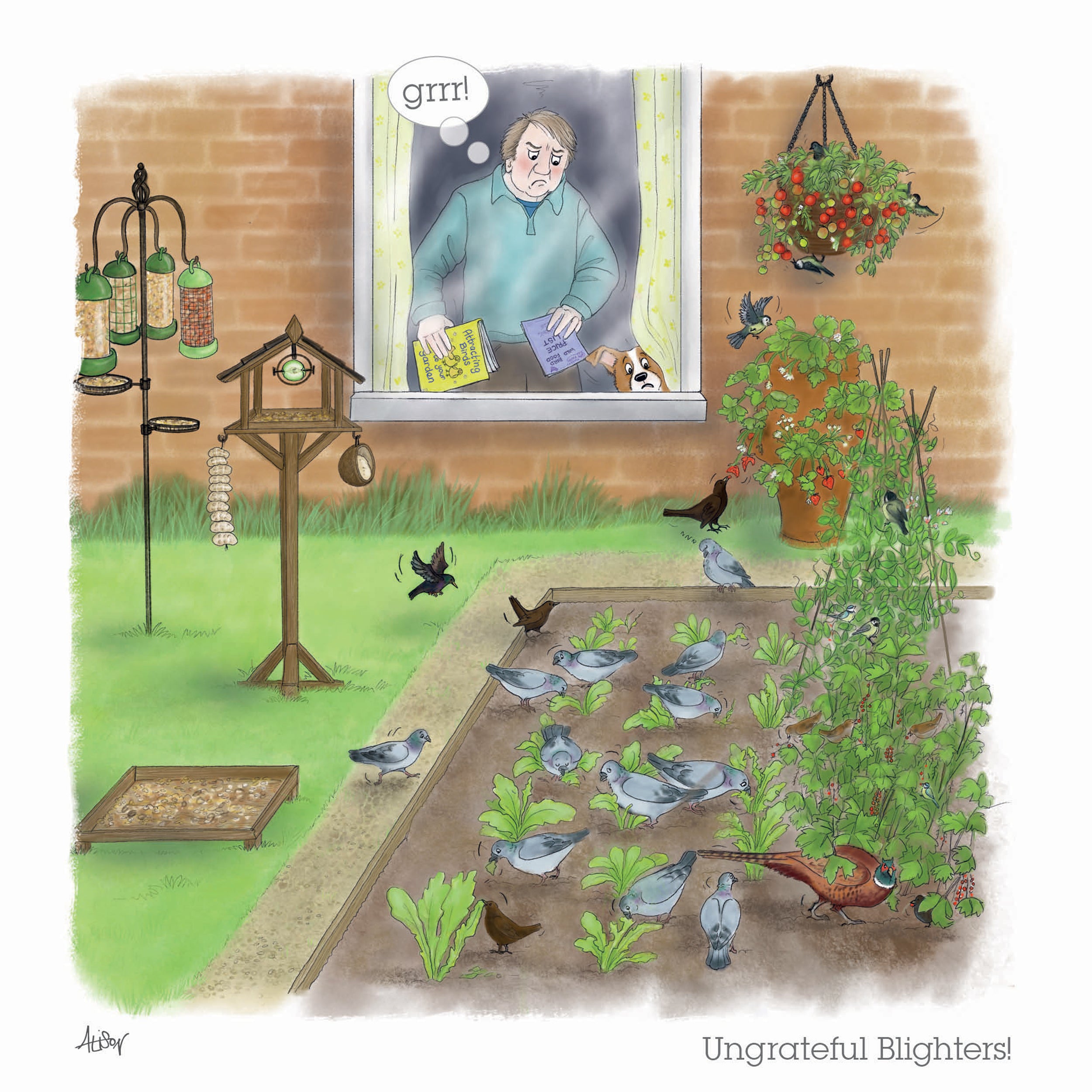 otter-house-alison-s-animals-gru-karte-garden-antics image 1