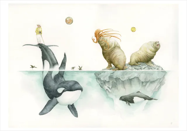 pomegranate-blank-notecards-sea-lions-klappkarte-einzeln image 1