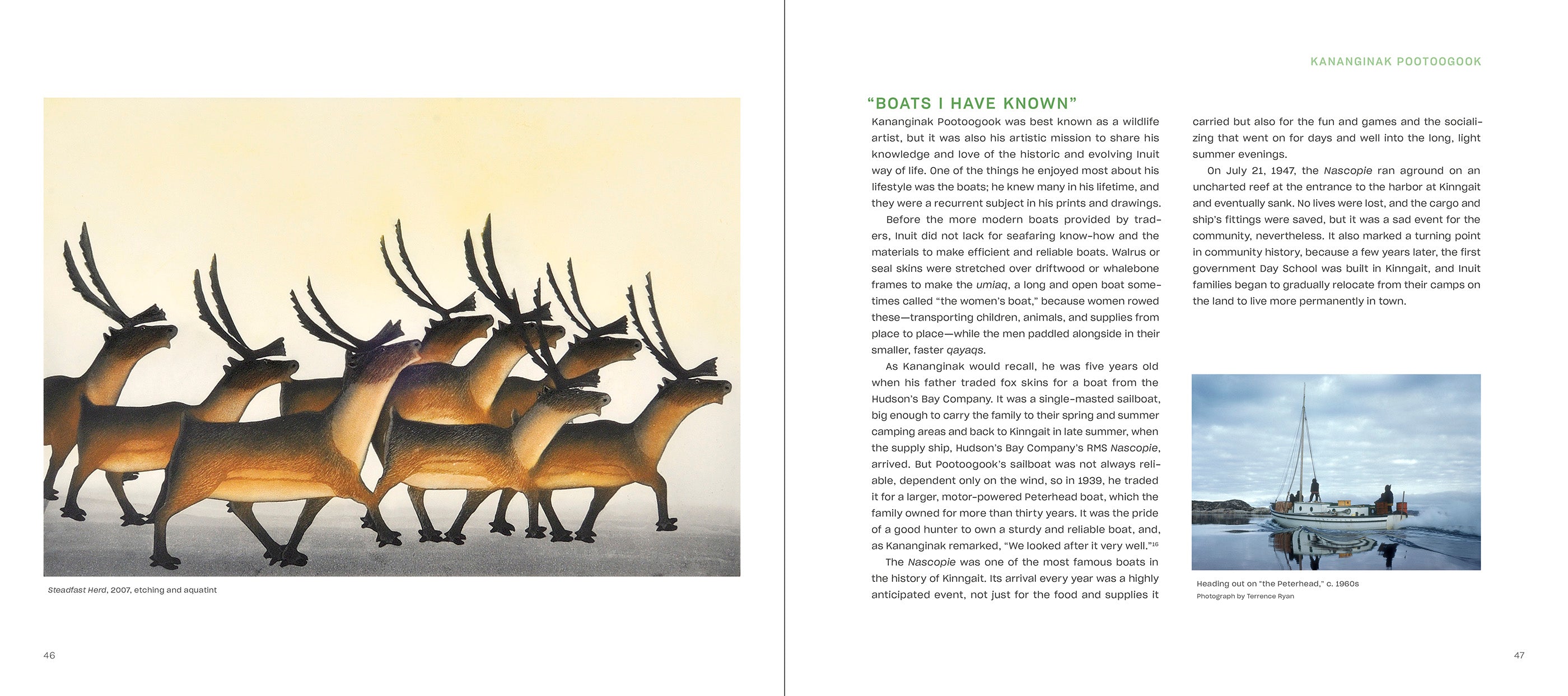 pomegranate-kananginak-pootoogook-kunstbuch-inuit image 2