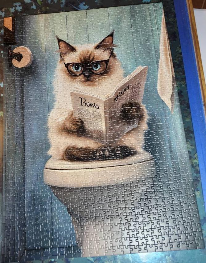 Katze mit Brille