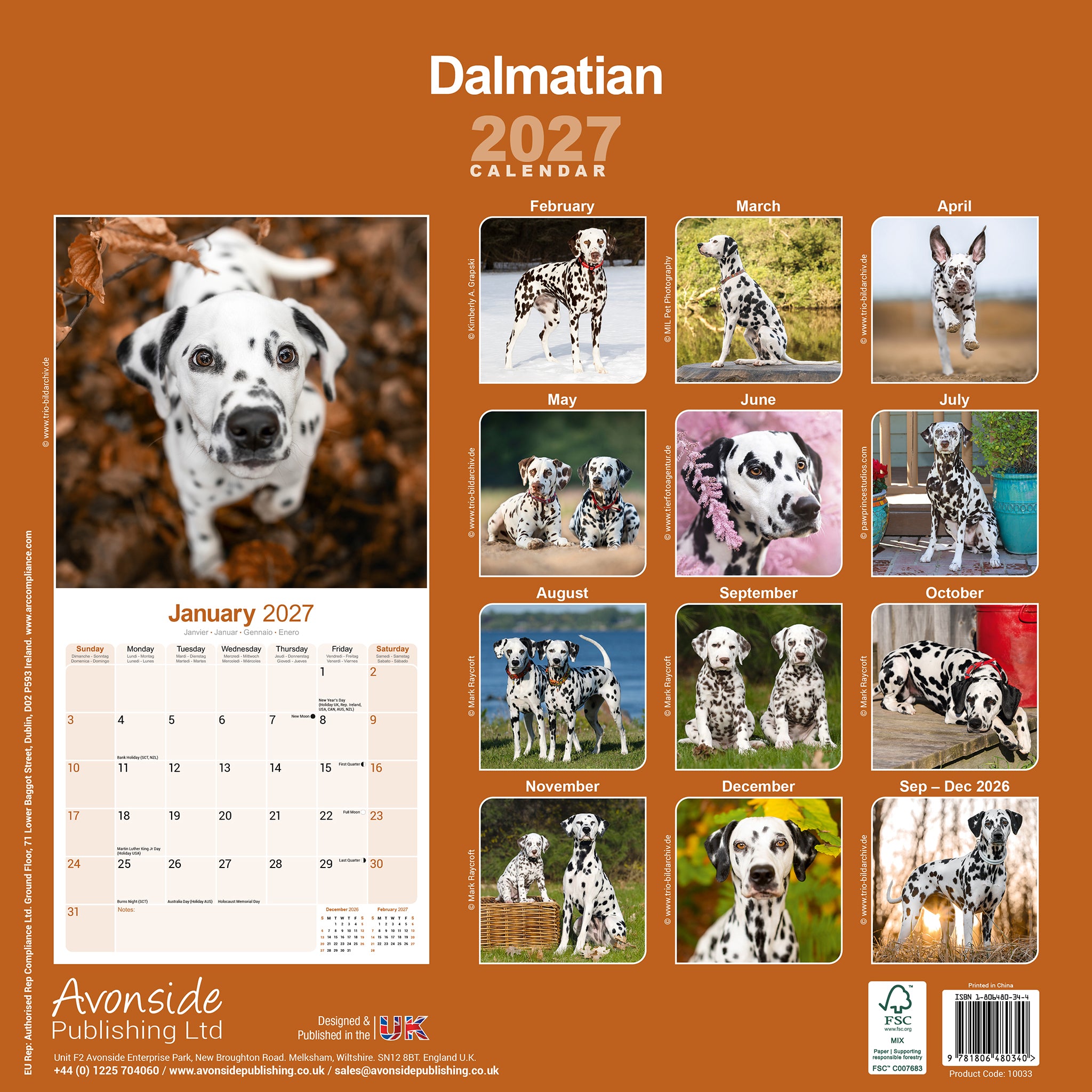 otter-house-dalmatian-wandkalender-2027-hunde image 2