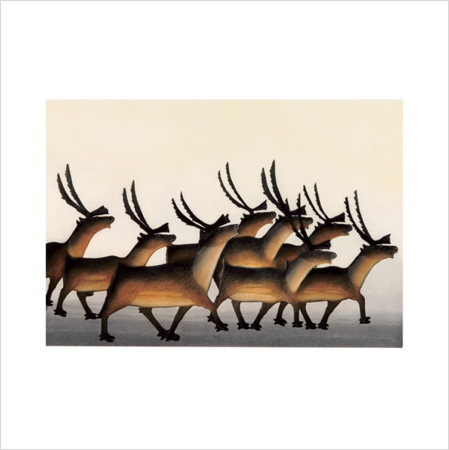 pomegranate-games-arctic-animals-kinngait-memory-spiel-36-karten image 5