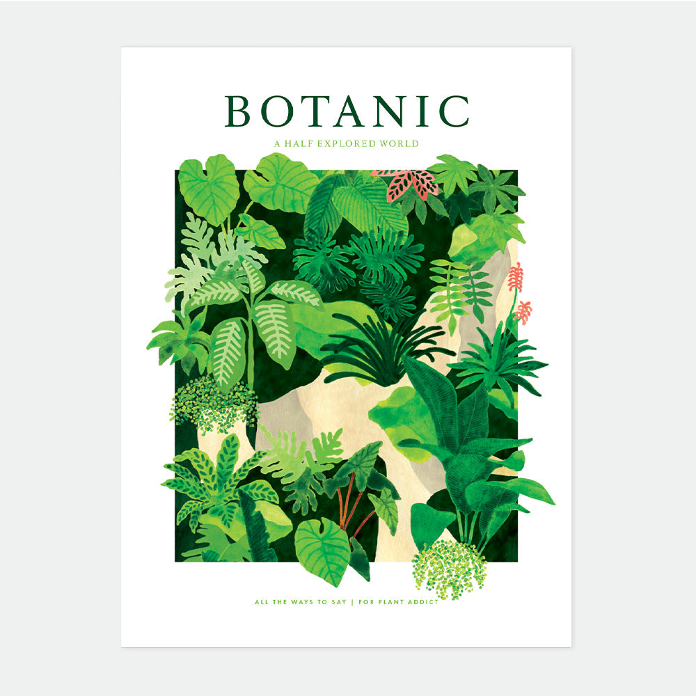 all-the-ways-to-say-botanic-world-poster-50x70-botanik-druck image 1