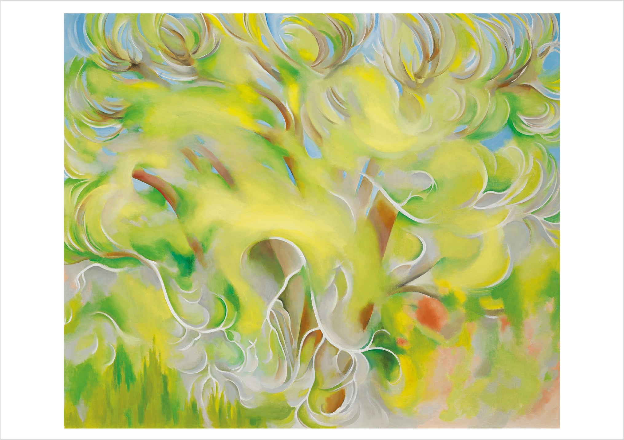 pomegranate-o-keeffe-trees-briefkarten-set-20-karten-box image 5