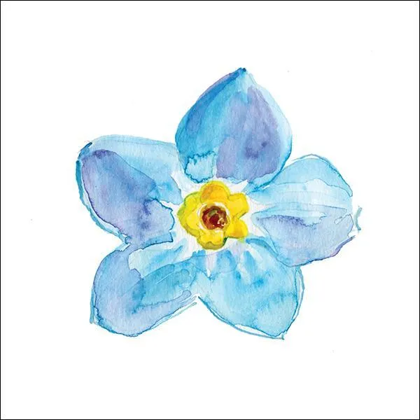 otter-house-snozzle-grusskarte-forget-me-never-beileid image 1