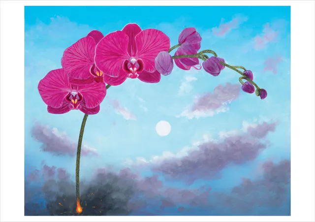 pomegranate-l-c-armstrong-flowers-phalaenopsis-klappkarte image 1