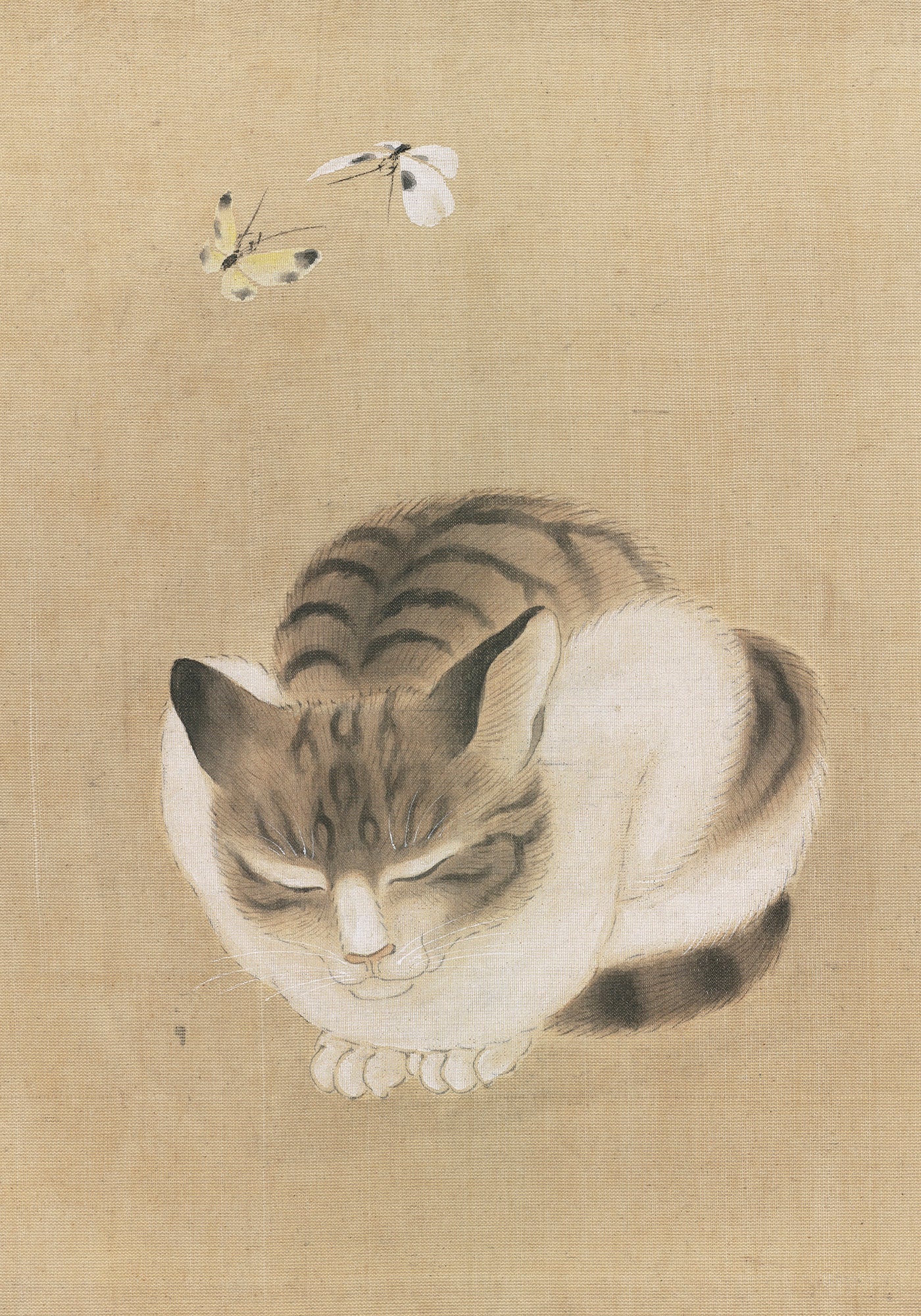 pomegranate-sleeping-cat-and-butterflies-mini-karten-katzenmotiv image 2