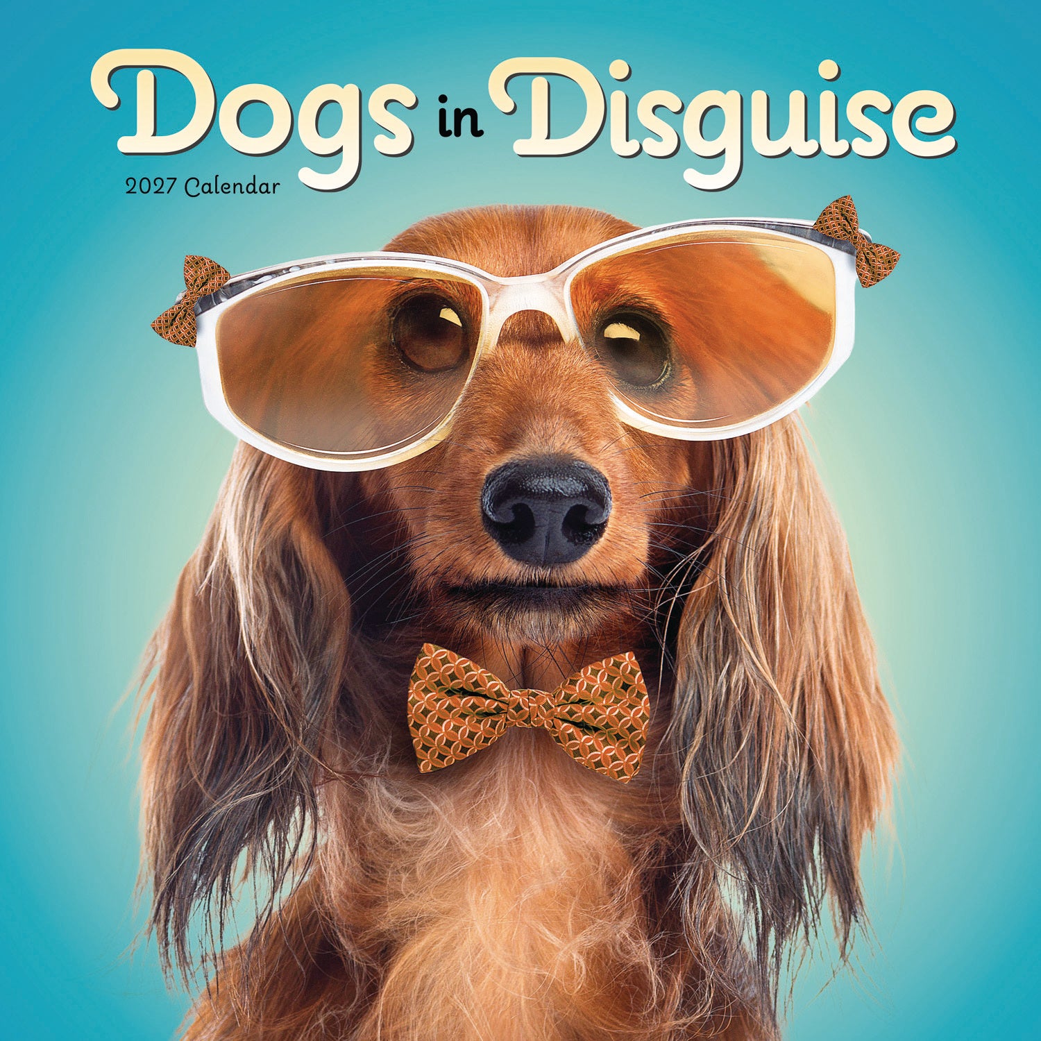 otter-house-dogs-in-disguise-wandkalender-2027-hunde image 1