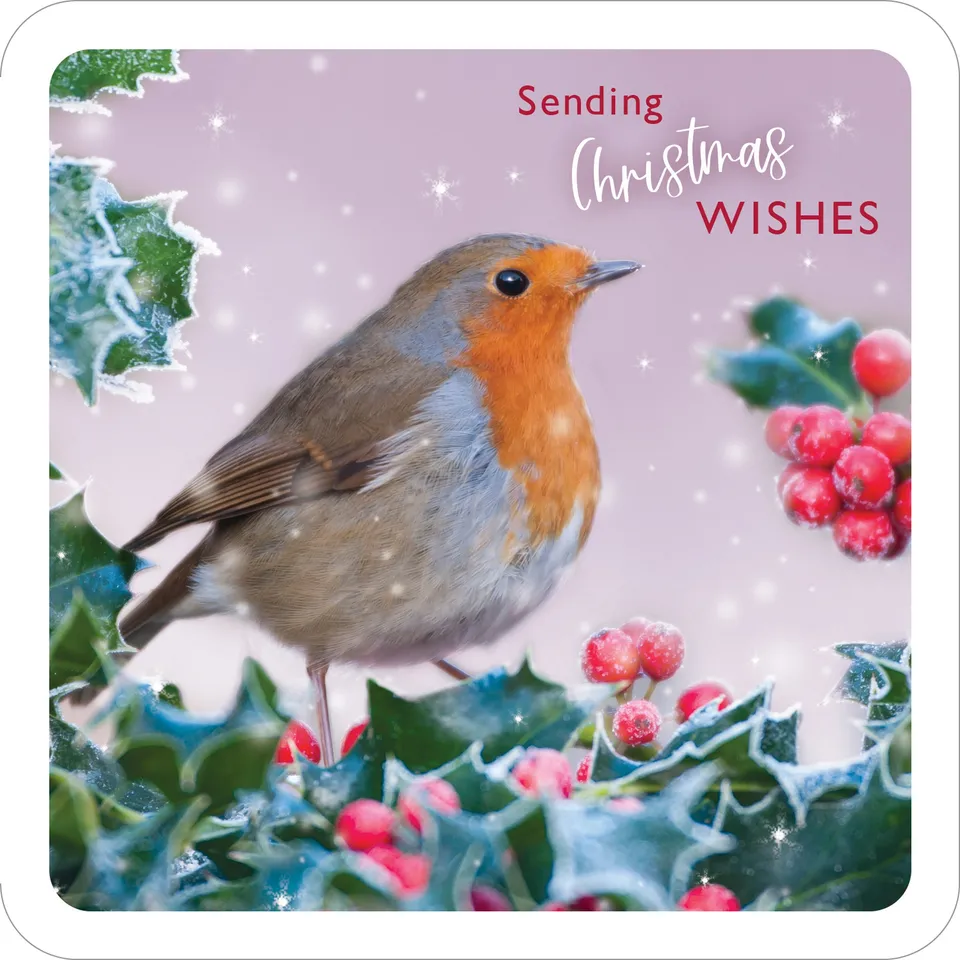 otter-house-christmas-visitors-weihnachtskarten-robin-10er image 1