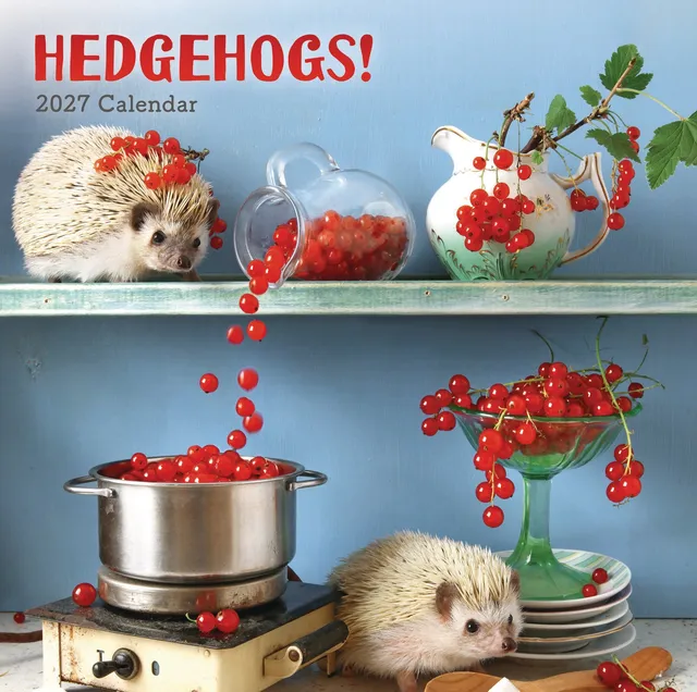 otter-house-igel-wandkalender-2027-tiere-monatskalender image 1