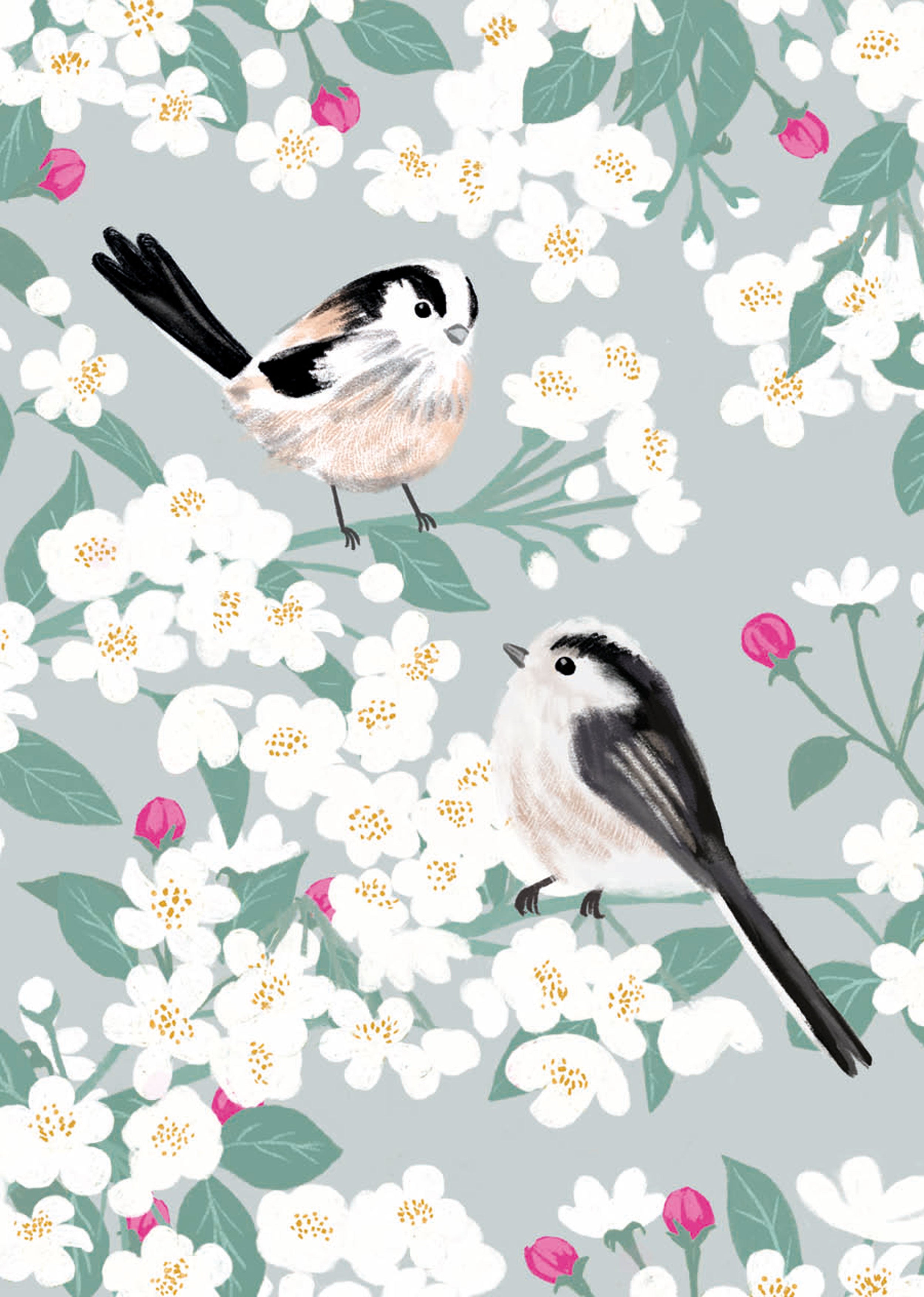 otter-house-stationery-mini-notecard-pack-rspb-white-blossom-6-karten image 2