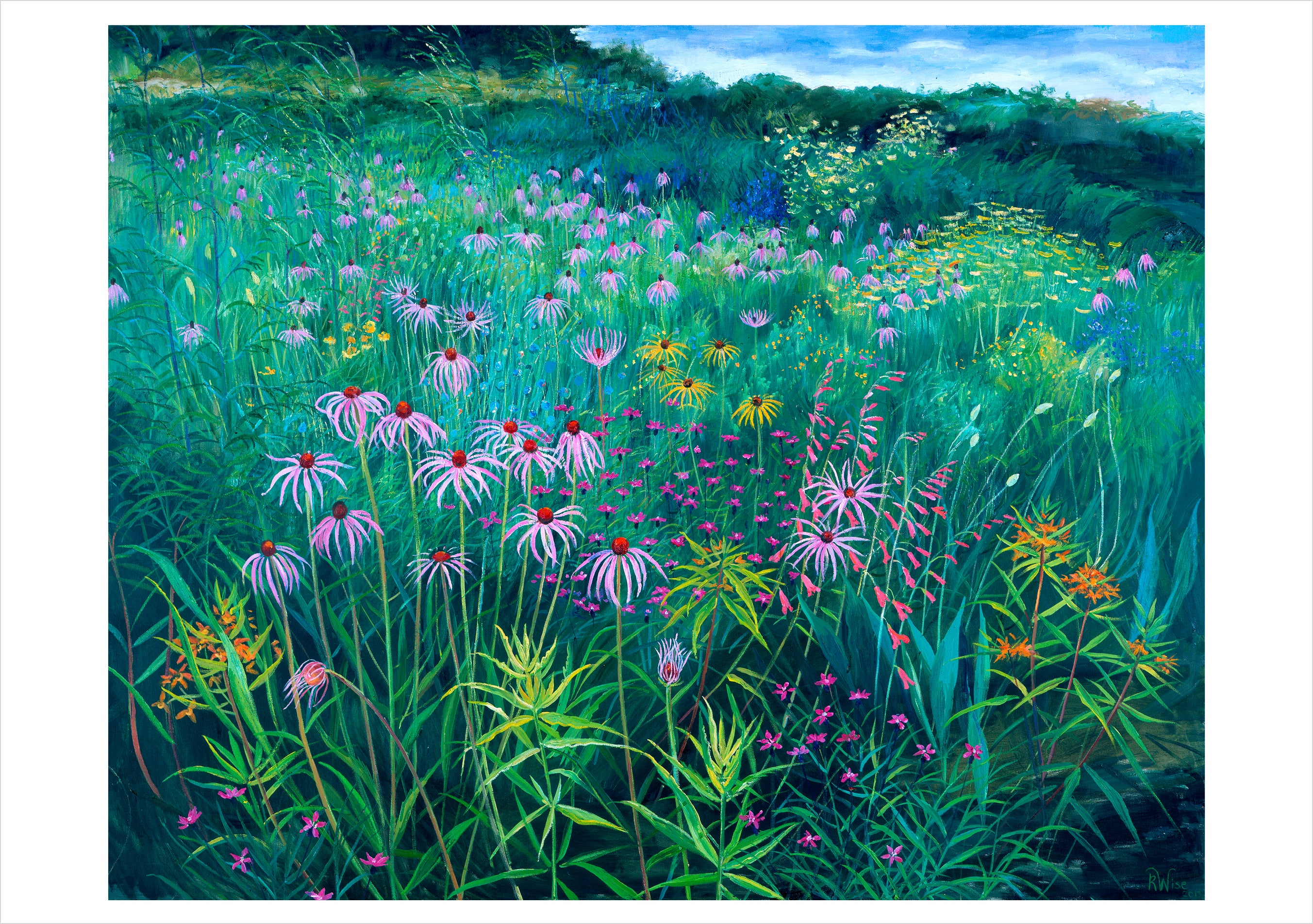 pomegranate-rosalind-wise-prairie-meadow-grusskarte-wiese image 1