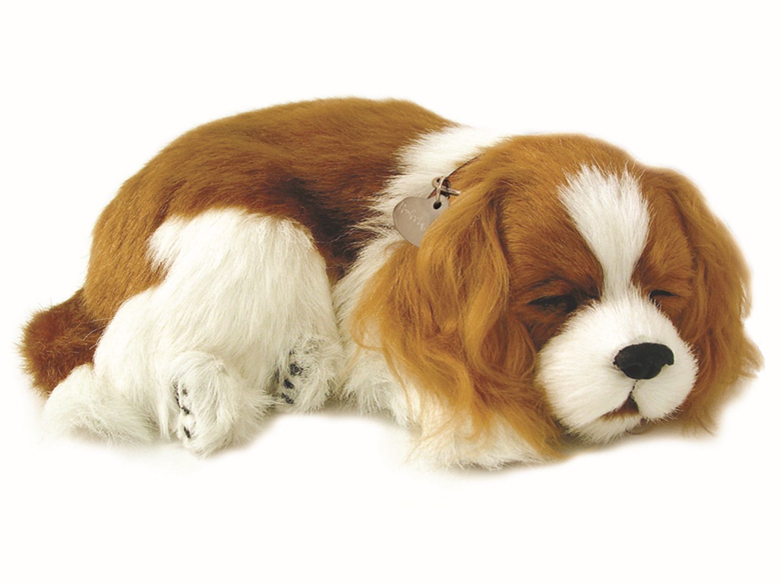 precious-petzzz-cavalier-king-charles-pl-schtier-mit-bett image 1