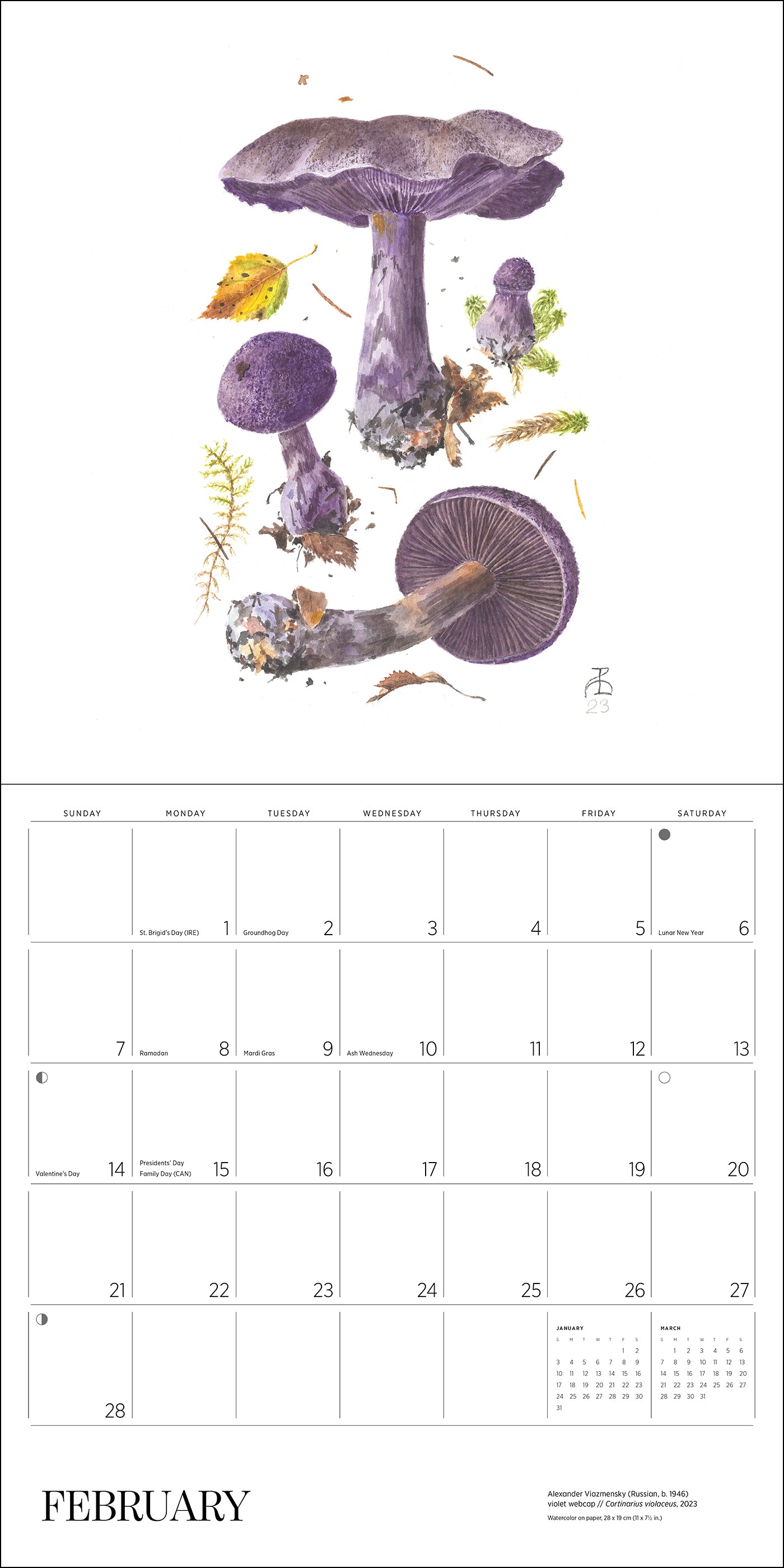 pomegranate-mushrooms-alexander-viazmensky-2027-wandkalender image 3
