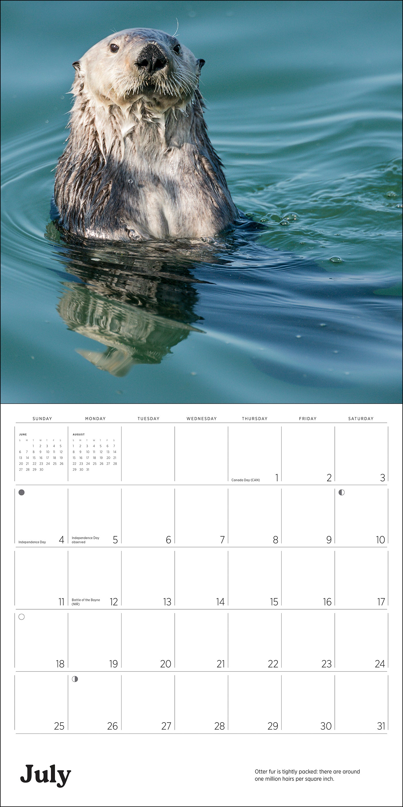 pomegranate-sea-otters-leeson-2027-wandkalender-foto image 6