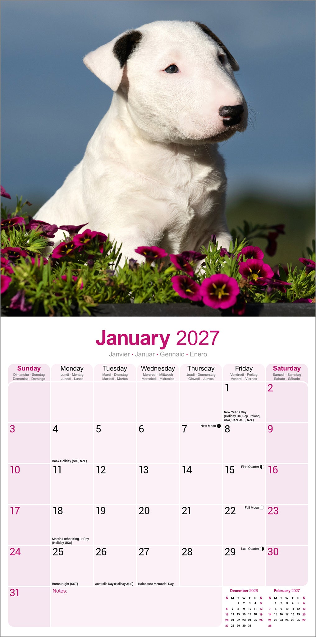 otter-house-bull-terrier-wandkalender-2027-hunde image 3