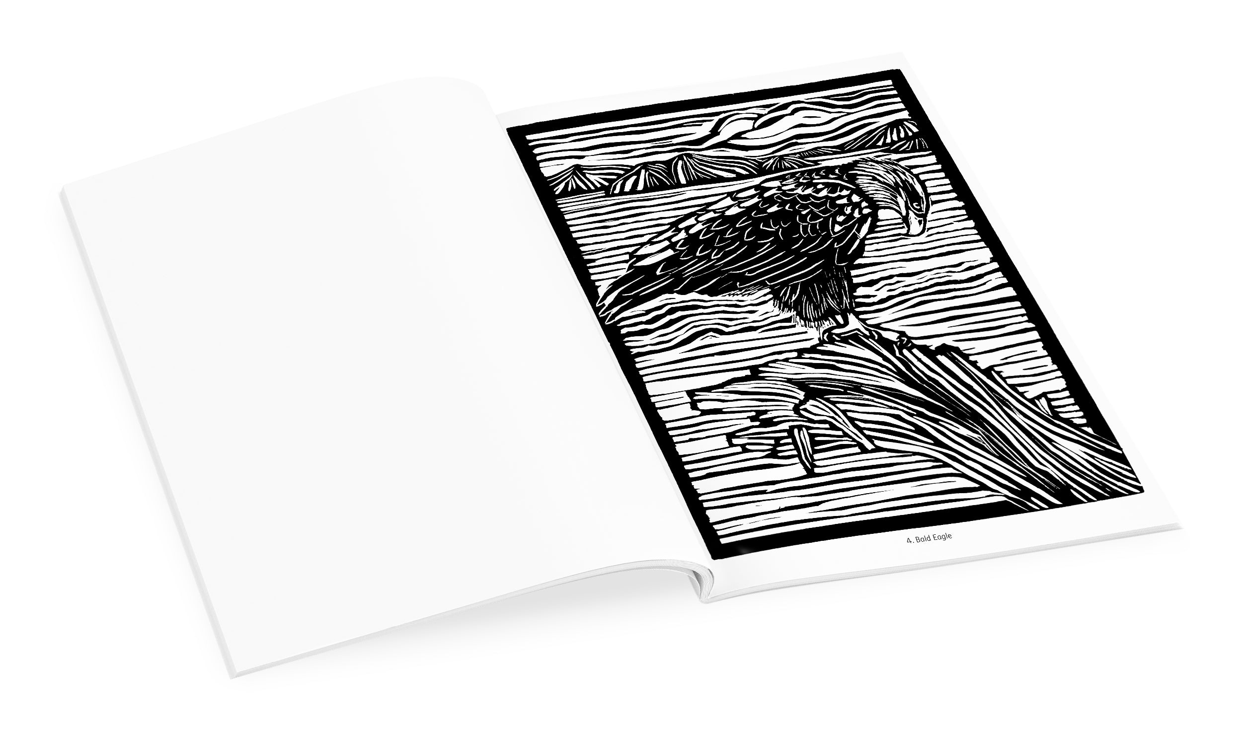 pomegranate-molly-hashimoto-birds-malbuch-v-gel image 4