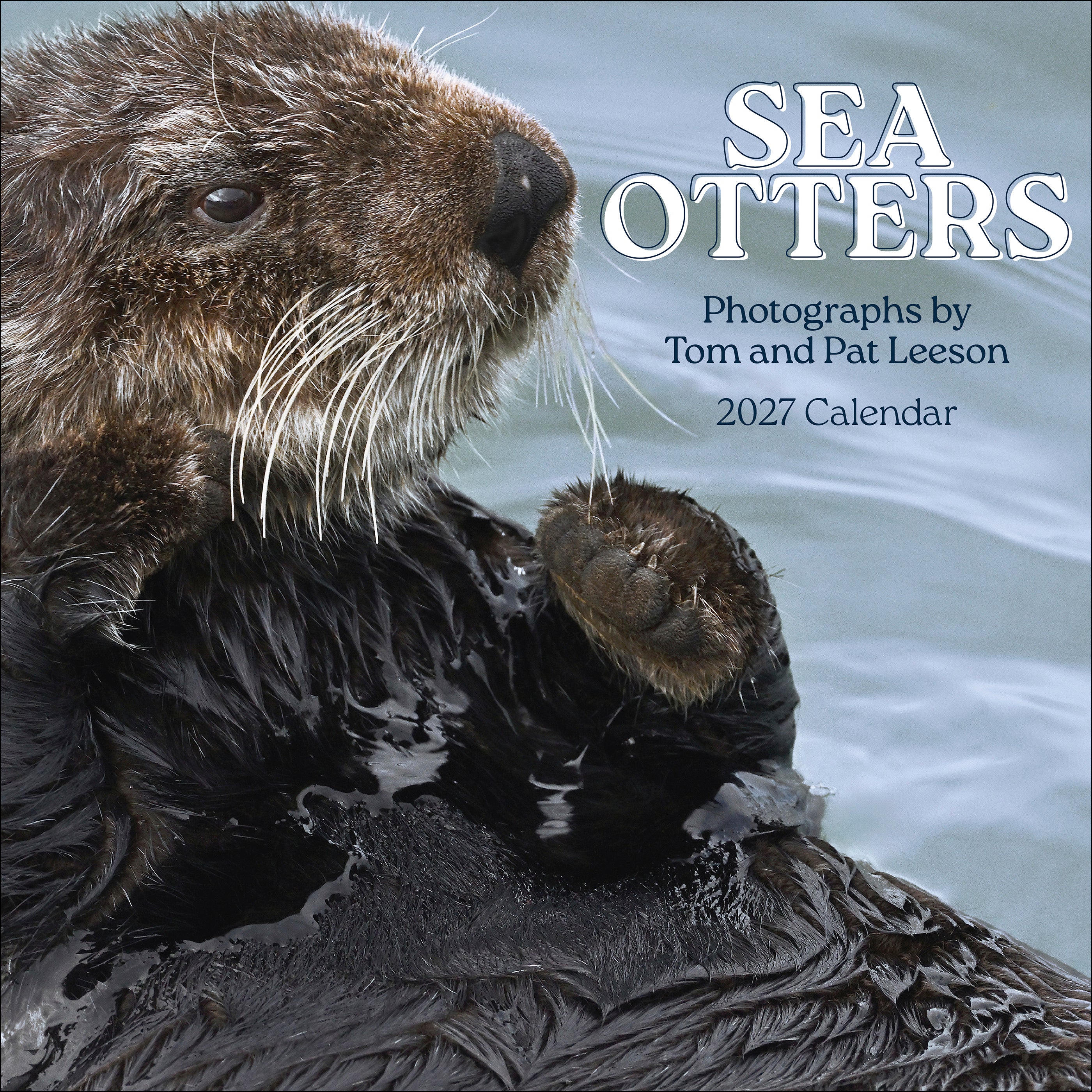 pomegranate-sea-otters-leeson-2027-wandkalender-foto image 1