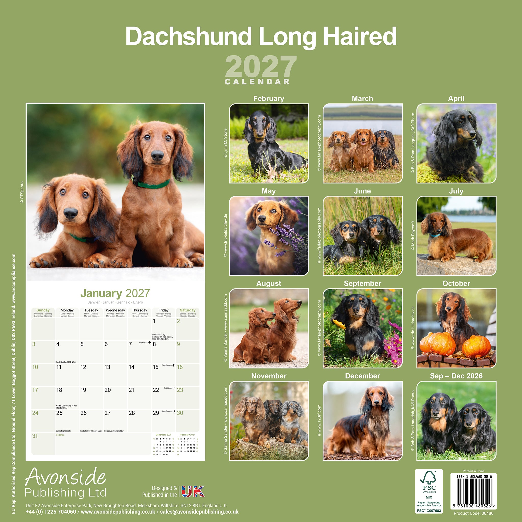 otter-house-dachshund-langhaar-wandkalender-2027-hunde image 2