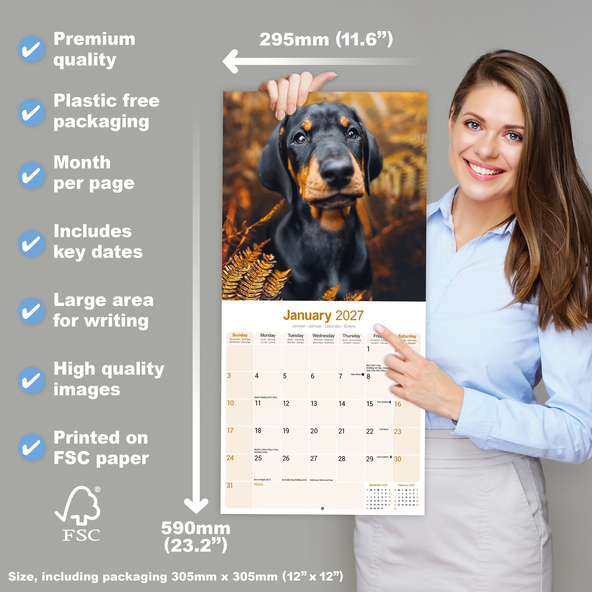 otter-house-dobermann-wandkalender-2027-hunde image 4
