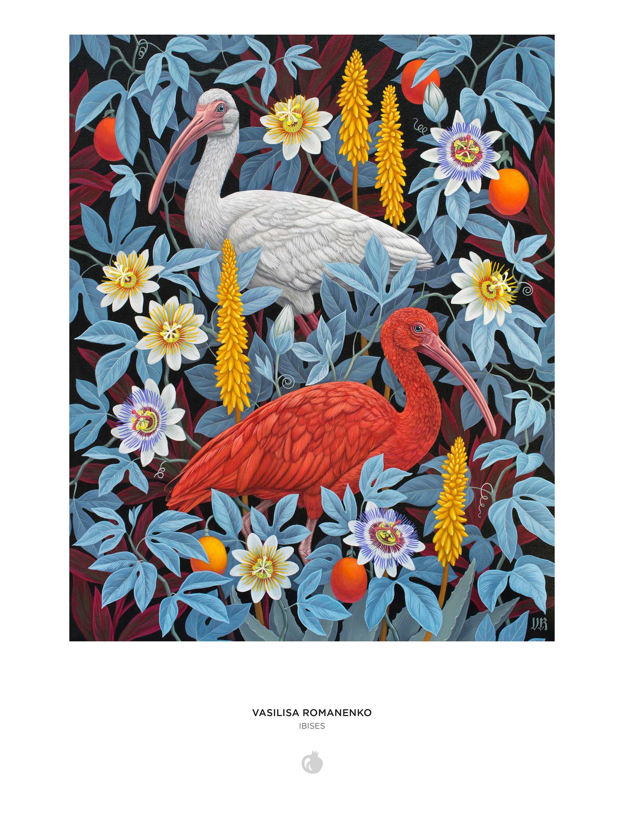 pomegranate-romanenko-ibises-puzzle-1000-teile-v-gel image 3