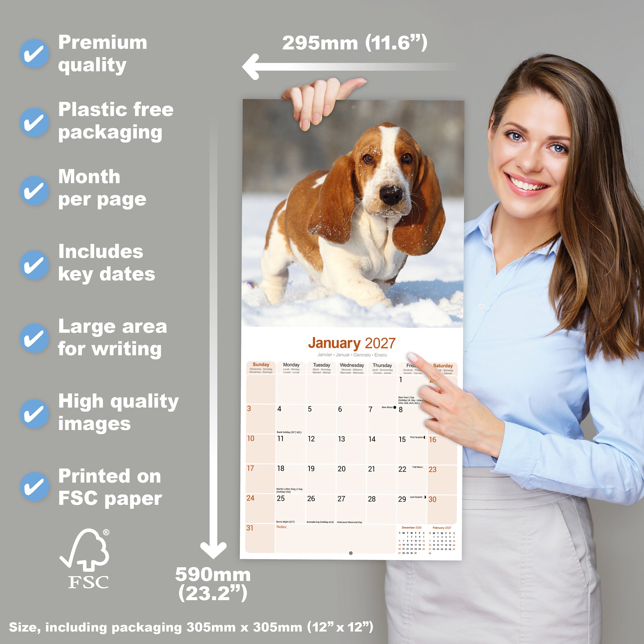 otter-house-basset-hound-wandkalender-2027-hunde image 4