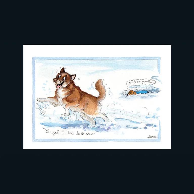 otter-house-alisons-animals-fresh-snow-weihnachtskarte-hund image 1