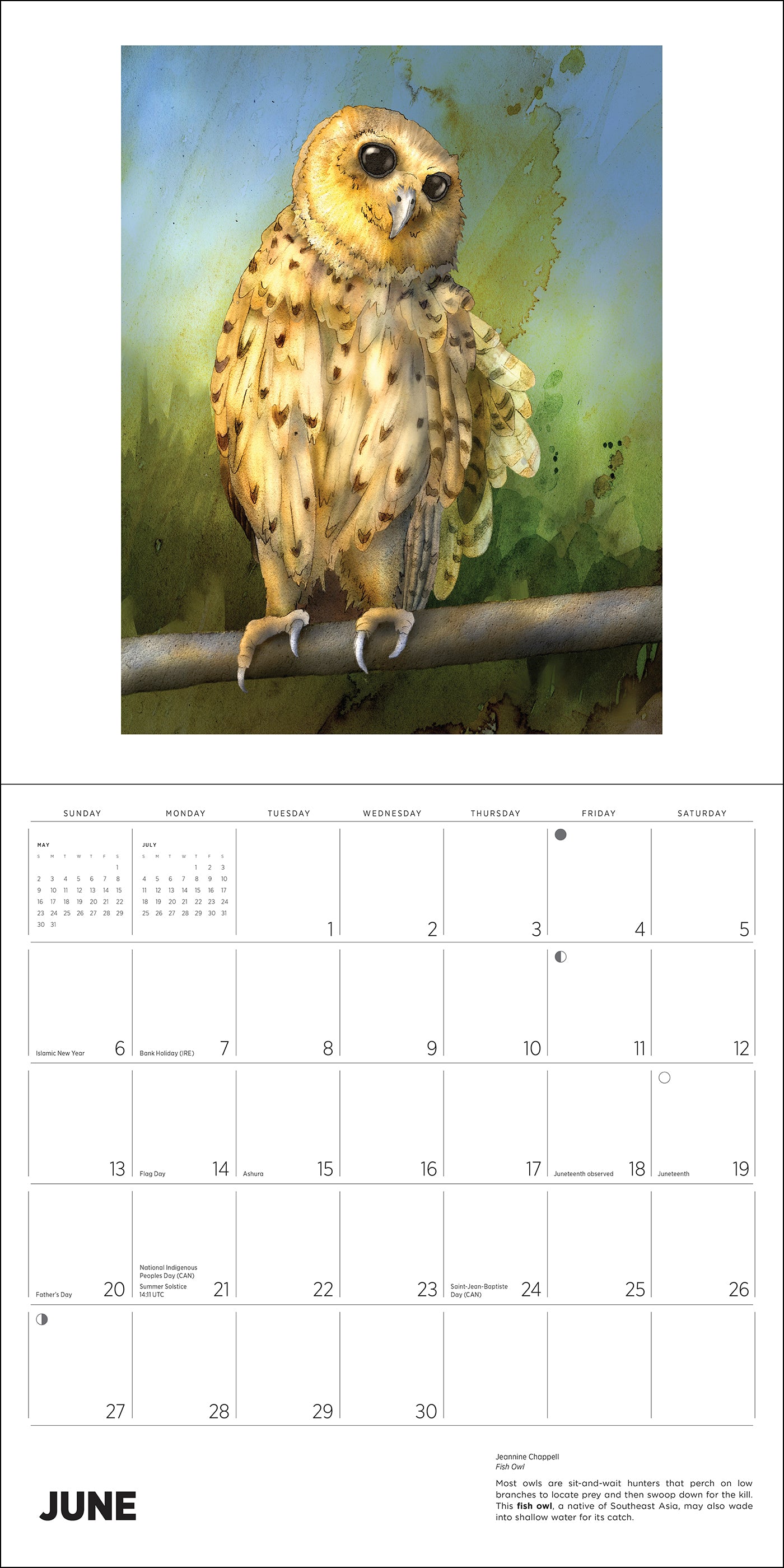 pomegranate-owls-chappell-2027-wandkalender-eulen image 3