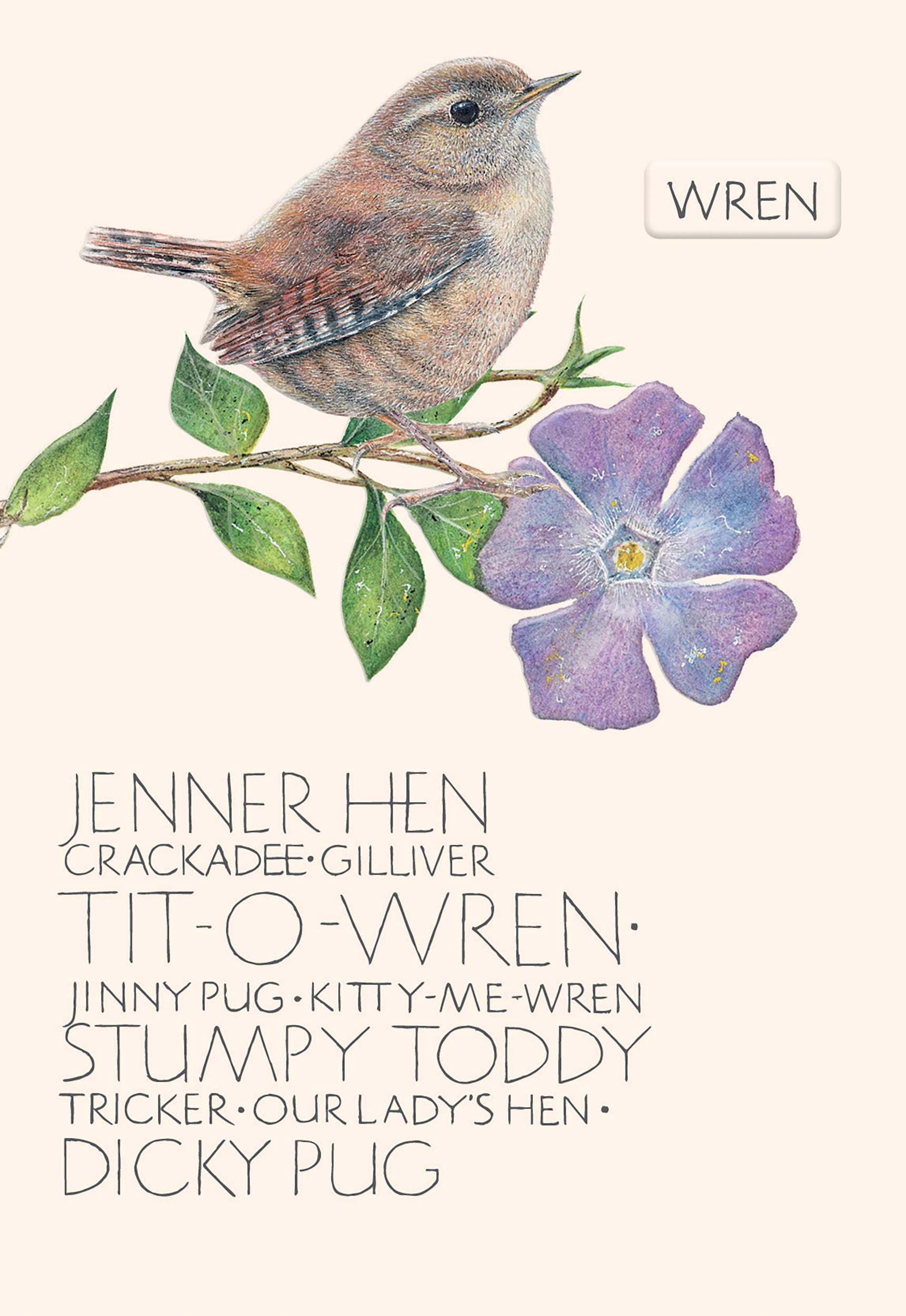 otter-house-naming-of-a-bird-gru-karte-zaunk-nig-wren image 1