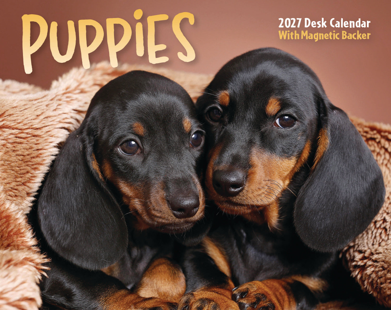 otter-house-calendars-tischkalender-puppies-mini-box-2027 image 1