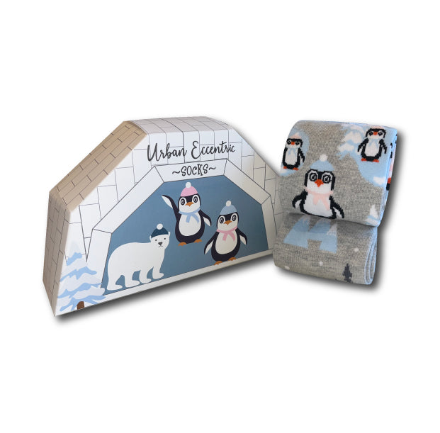 otter-house-stationery-gift-socken-igloo-2-paar-pack image 1