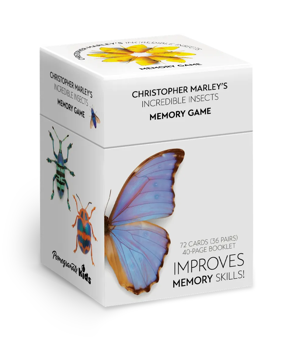 pomegranate-marley-incredible-insects-memory-spiel-insekten image 1