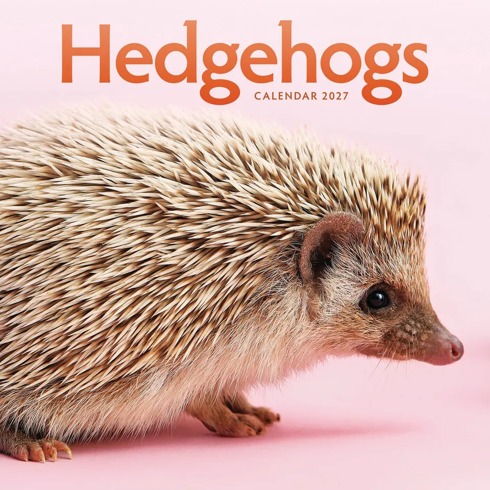 otter-house-hedgehogs-wandkalender-2027-igel-tiere image 1