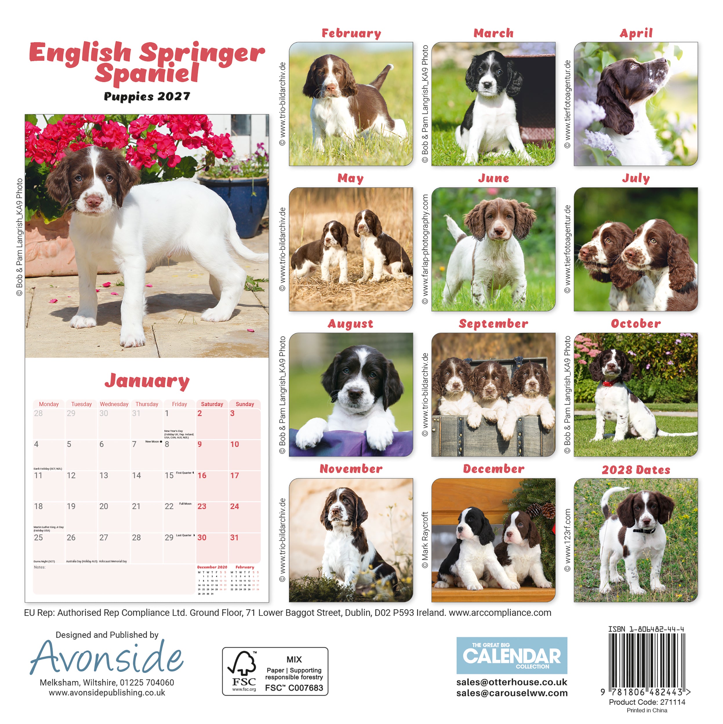 otter-house-english-springer-spaniel-puppies-mini-calendar-2027 image 2
