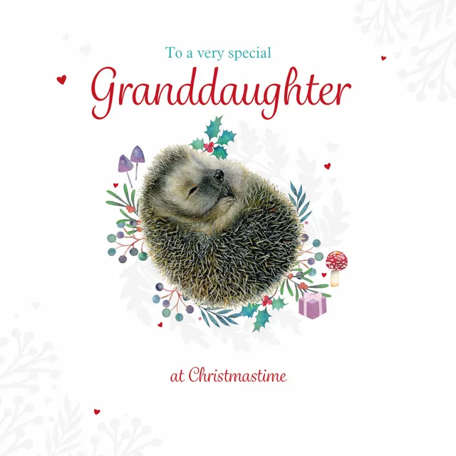 otter-house-weihnachtskarte-enkelin-igel-einzelkarte image 1