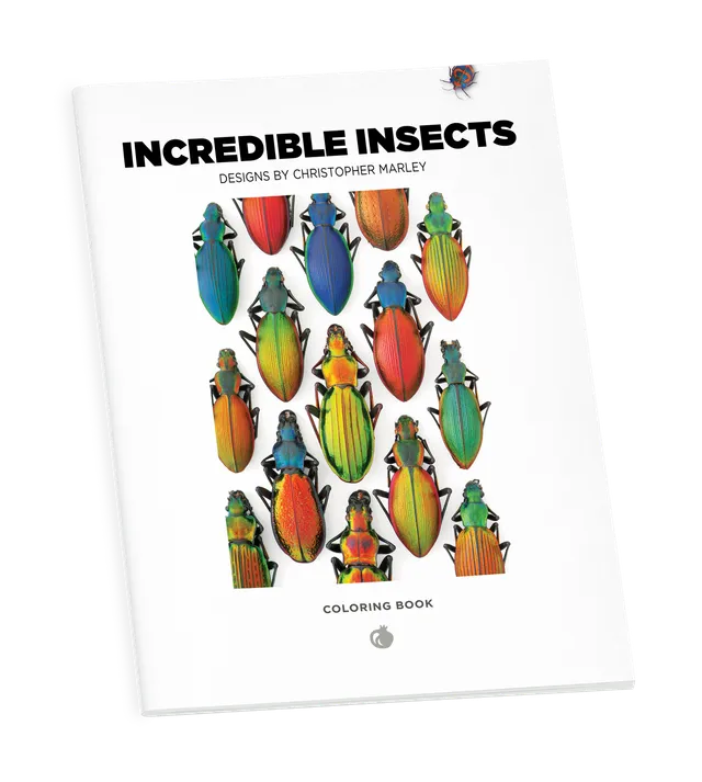 pomegranate-incredible-insects-malbuch-christopher-marley image 1