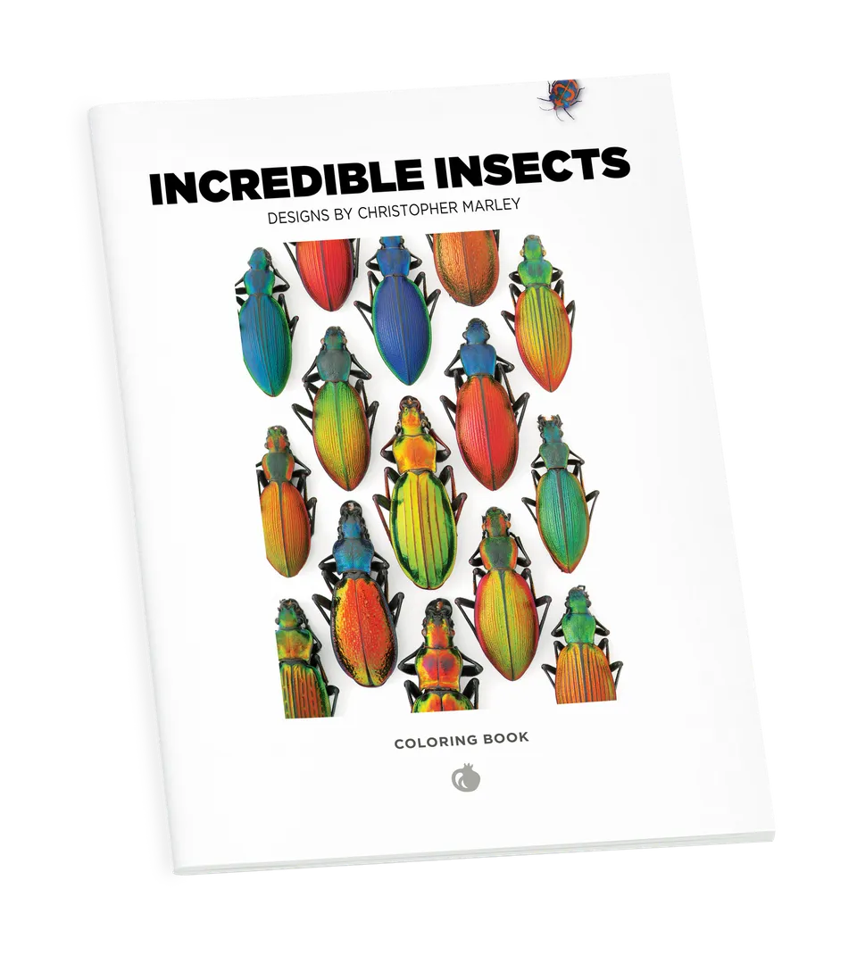 pomegranate-incredible-insects-malbuch-christopher-marley image 1