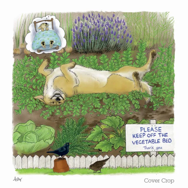 otter-house-alison-s-animals-garden-antics-gru-karte-cover-cop image 1