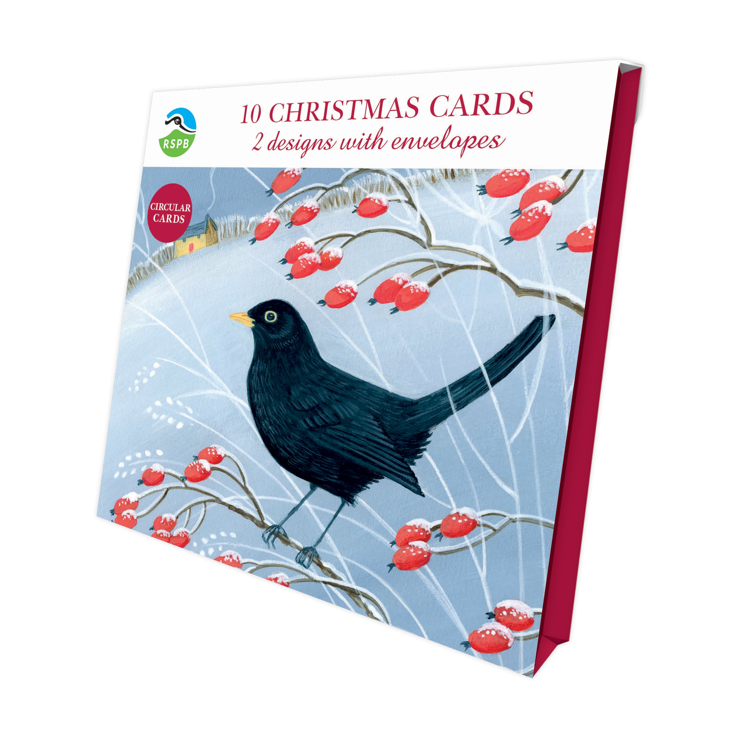 otter-house-birdsong-rspb-weihnachtskarten-10er-pack image 1